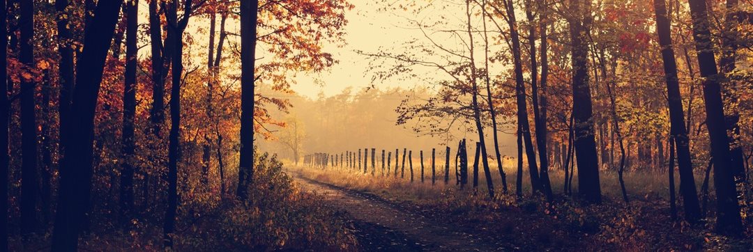 herbst6